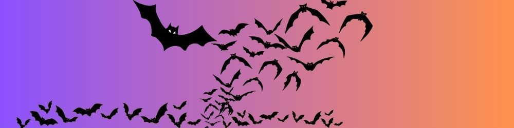 Background is gradient colors from purple to orange with flying  black bats.